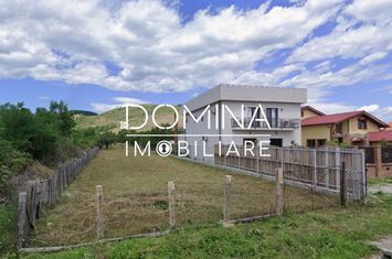 Teren de inchiriat RUNCU - Gorj anunturi imobiliare Gorj