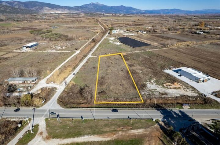 Teren construibil 4.600 mp, intrare Chrysoupoli Nestos anunturi imobiliare Grecia
