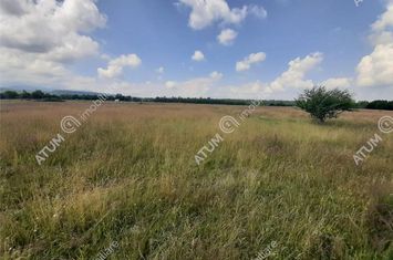 Teren Intravilan de vanzare AVRIG - Sibiu anunturi imobiliare Sibiu