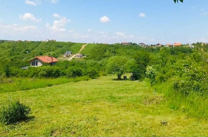 Teren de vanzare ORADEA - Bihor anunturi imobiliare Bihor