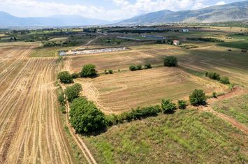 Teren construibil 8.090 mp în Xiropotamos anunturi imobiliare Grecia