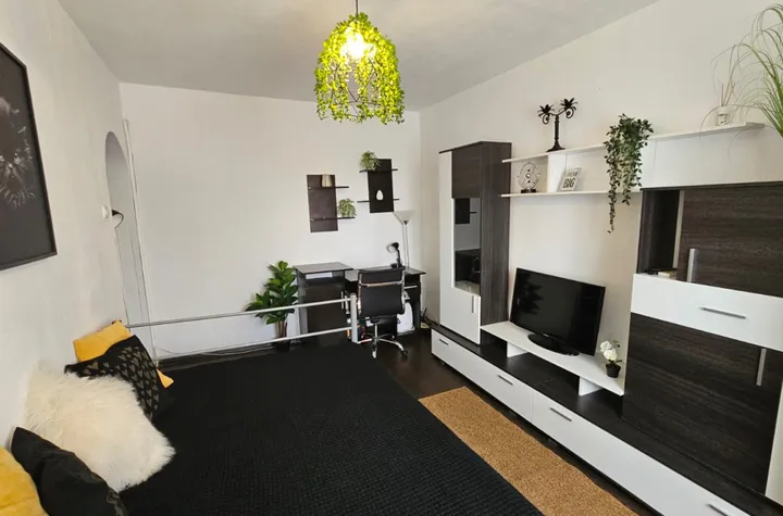 Garsonieră de vanzare TIMISOARA - Timis anunturi imobiliare Timis