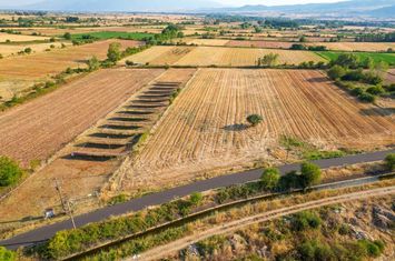 Teren construibil 6.463 mp în Prosotsani, Drama anunturi imobiliare Grecia