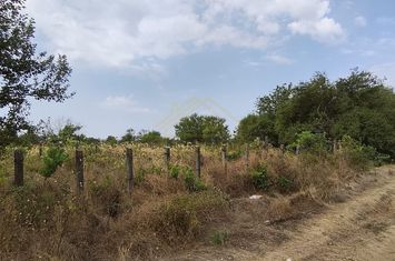 TEREN INTRAVILAN 2500 MP-SCOLII-VIILOR anunturi imobiliare Bucuresti