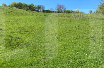 Teren de vanzare VALCELELE - Cluj anunturi imobiliare Cluj