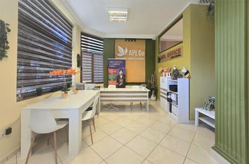 Vilă - 14 camere de inchiriat NICOLINA - Iasi anunturi imobiliare Iasi