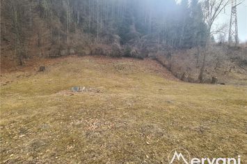 Teren Intravilan de vanzare VALEA DOFTANEI - Prahova anunturi imobiliare Prahova