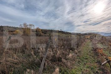 Teren de vanzare SARD - Alba anunturi imobiliare Alba