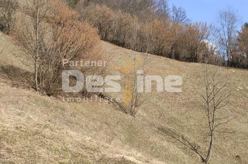 Teren de vanzare RUCAR - Brasov anunturi imobiliare Brasov