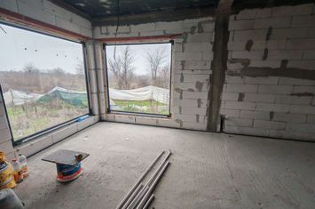 Vilă - 4 camere de vanzare CARCEA - Dolj anunturi imobiliare Dolj