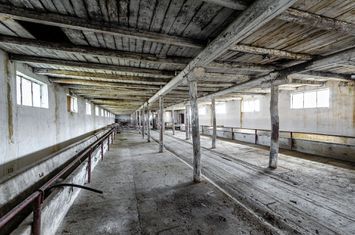 Fermă Mândruloc 2,5 ha anunturi imobiliare Arad