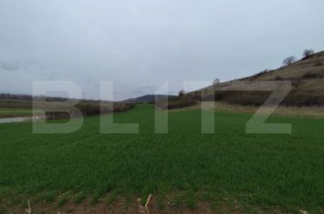 Teren de vanzare VINTU DE JOS - Alba anunturi imobiliare Alba