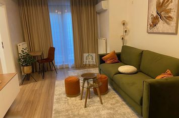 Inchiriez apartament 2 camere zona Grivita-1 Mai, Str. Soveja, TOTUL NOU, PRIMA INCHIRIERE dupa renovarea completa,curte proprie 28 m2, la 5 minute metrou 1 Mai, bloc 2016 tip boutique. anunturi imobiliare Bucuresti