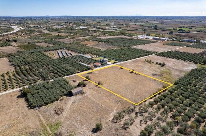 Teren construibil 6.522 mp în Petropigi anunturi imobiliare Grecia