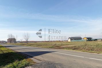 Teren intravilan 550 mp de vanzare in Paleu anunturi imobiliare Bihor