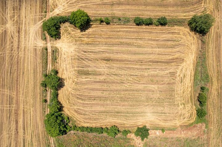Teren construibil 8.090 mp în Xiropotamos anunturi imobiliare Grecia