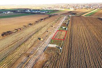 Teren Intravilan de vanzare SUD-EST - Satu Mare anunturi imobiliare Satu Mare