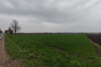 Teren de vanzare HORODNIC - Suceava anunturi imobiliare Suceava