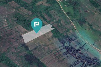 Teren arabil de 11,3 hectare în Bara, Timiș anunturi imobiliare Timis