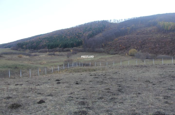 Teren Extravilan de vanzare ORLAT - Sibiu anunturi imobiliare Sibiu