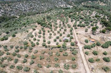 Teren 5.230 mp cu casă legală în Astrida, Thassos anunturi imobiliare Grecia