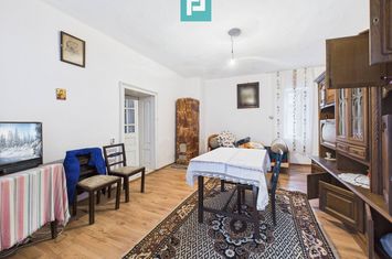 Casă cu teren de 24.679,73 mp, în Hălmagiu, Arad anunturi imobiliare Arad