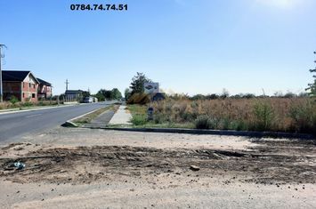 Teren Intravilan de vanzare COMUNA BERCENI - Bucuresti anunturi imobiliare Bucuresti