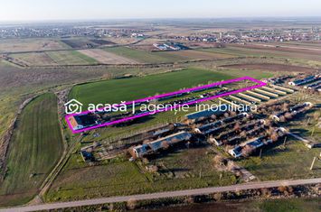 Teren 1.15 HA lângă Autostrada – Nădlac | clădiri+utilități anunturi imobiliare Arad