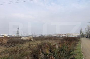 Teren de vanzare CRAIOVA - Dolj anunturi imobiliare Dolj