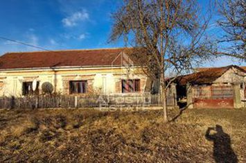 Casa de caramida in Tela si Teren Generos de 4320 mp anunturi imobiliare Arad