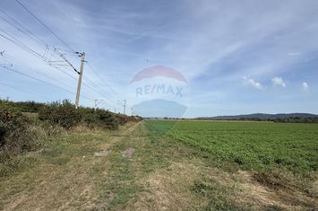 Teren Investitii 1.1 ha |  Bontida-Halta Rascruci anunturi imobiliare Cluj