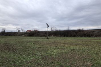 Teren de vanzare ORADEA - Bihor anunturi imobiliare Bihor