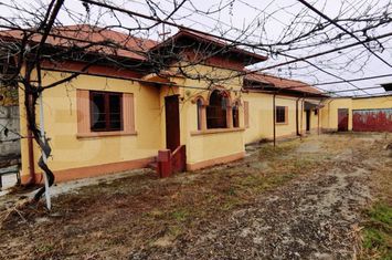 Teren de vanzare CERNELE - Dolj anunturi imobiliare Dolj