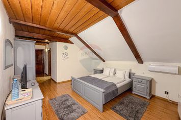 Hotel / Pensiune cu 10 camere de vânzare - afacere la cheie anunturi imobiliare Sibiu