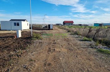 LOTURI REZIDENTIALE POPESTI LEORDENI - DIRECT DEZVOLTATOR! anunturi imobiliare Bucuresti