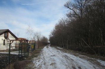 Domnesti-Teghes-Padure anunturi imobiliare Bucuresti