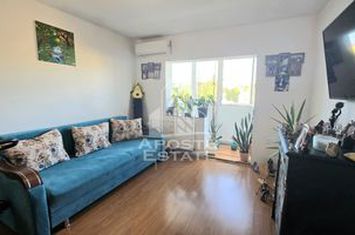 Apartament cu 2 camere, centrala proprie, etaj intermediar, Lipovei anunturi imobiliare Timis