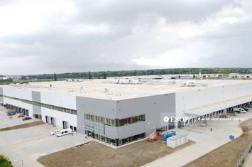 Spațiu industrial de inchiriat MOGOSOAIA - Bucuresti anunturi imobiliare Bucuresti