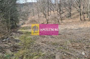 Teren de vânzare în Sinaia - Platou Izvor anunturi imobiliare Prahova