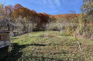 Casă - 2 camere de vanzare MORENI - Dambovita anunturi imobiliare Dambovita