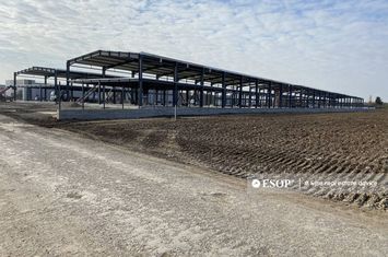 Spațiu industrial de inchiriat MOGOSOAIA - Bucuresti anunturi imobiliare Bucuresti