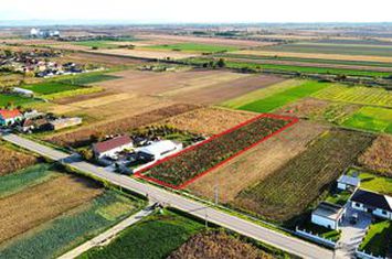 Teren Intravilan de vanzare NORD - Satu Mare anunturi imobiliare Satu Mare