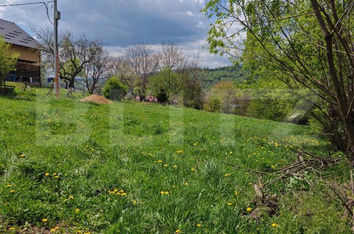 Teren de vanzare MOIECIU DE JOS - Brasov anunturi imobiliare Brasov