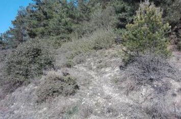 Teren construibil 402,45 mp — Amigdaleonas anunturi imobiliare Grecia