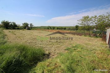 Teren 820 mp Intravilan Valea Mare !! anunturi imobiliare Olt