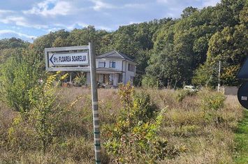 Corbeanca Padure 721 mp anunturi imobiliare Bucuresti
