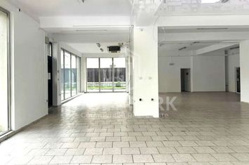 Spatiu Comercial - 254MP  - Manastur - Vitrina anunturi imobiliare Cluj