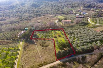 Teren construibil 3.188 mp în Agios Andreas anunturi imobiliare Grecia