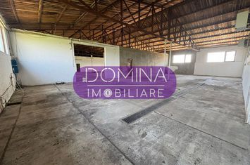 Spațiu industrial de vanzare TETILA - Gorj anunturi imobiliare Gorj
