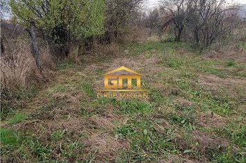 Casă - 3 camere de vanzare BUDESTI - Valcea anunturi imobiliare Valcea